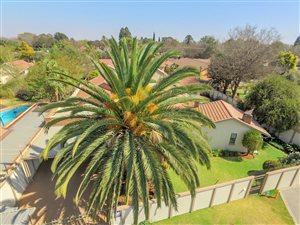 4 Bed House in Eldoraigne