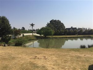 1 ha Farm in Rynfield AH