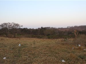 4.9 ha Land available in King Williams Town