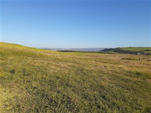 3 ha Farm in Tongaat Central