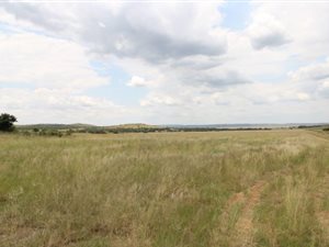 248 ha Farm in Klerksdorp