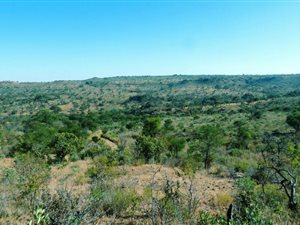 369.1 ha Farm in Lydenburg