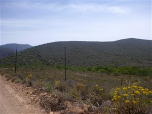 1.9 ha Farm in Ladismith