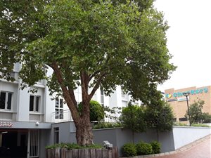 2287.80004882813 m² Office Space in Rivonia