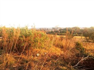 7258 m² Land available in Mkondeni