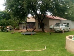 28 ha Farm in Koster
