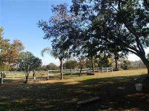 21 ha Farm in Kameelfontein and surrounds