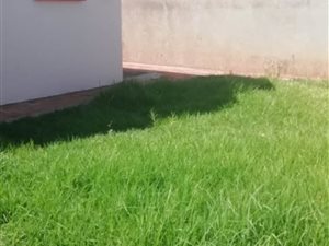 3 Bed House in Dawnpark