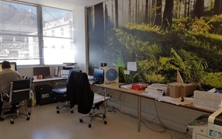 164 m² Commercial space in Cape Town City Centre