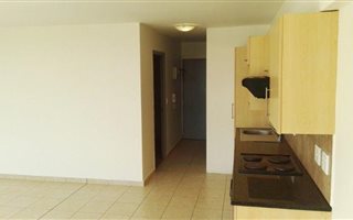 1 Bedroom Apartment in Zonnebloem