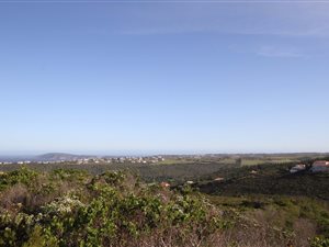 1620 m² Land available in Schoongezicht