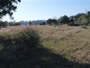 3.7 ha Land available in De Deur