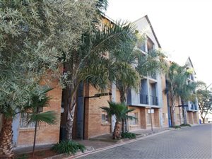 1 Bed Apartment in Riviera