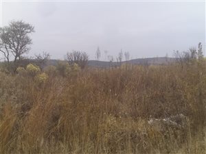 918 m² Land available in Vaaloewer