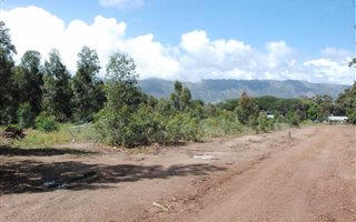 4 m² Farm in Sir Lowrys Pass