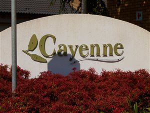 2 Bed Apartment in Monavoni