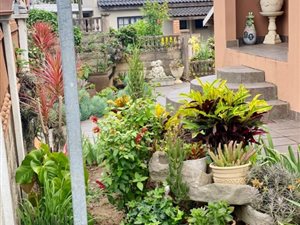 3 Bed House in Woodview