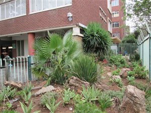 2 Bed Apartment in Sunnyside