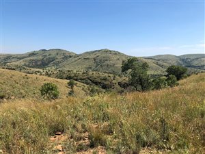 982 ha Farm in Groot Marico