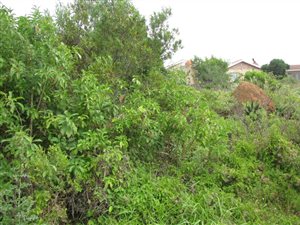 894 m² Land available in Riversbend