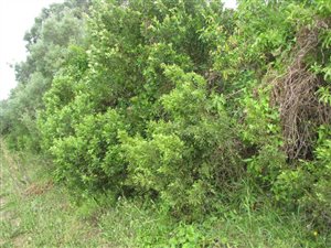 894 m² Land available in Riversbend