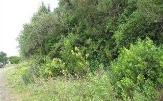 894 m² Land available in Riversbend