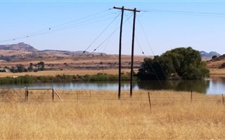 333 ha Farm in Ladybrand