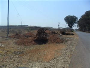 1.7 ha Land available in Highbury