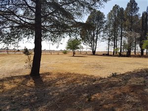 2 ha Farm in Miravaal