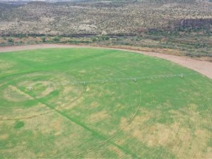21 ha Farm in Graaff Reinet