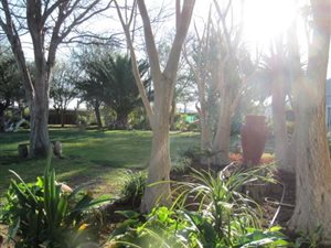 6 ha Farm in Graaff Reinet