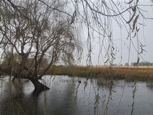 14 ha Farm in Klerksdorp