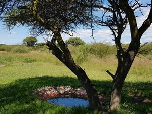 9 m² Farm in Polokwane Central