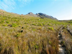 21 ha Smallholding in Pringle Bay