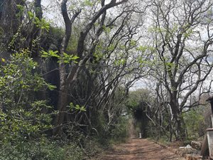 8.9 ha Land available in Donkerhoek AH