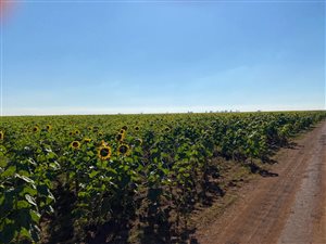 611 ha Farm in Lichtenburg