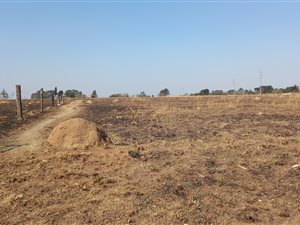 2 ha Farm in Ophir AH