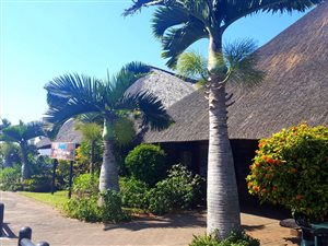 Commercial space in Sea Park