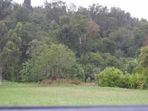 1258 m² Land available in Bergsig