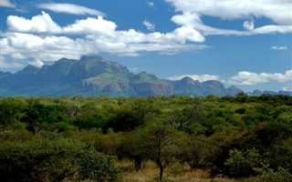 1 ha Land available in Zandspruit Bush and Aero Estate