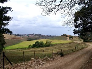 463 ha Farm in Empangeni