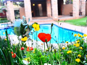 1 Bed Apartment in Lonehill