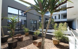 2 Bedroom Apartment in Ridgeside