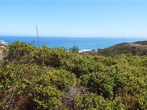 835 m² Land available in Pinnacle Point Golf Estate