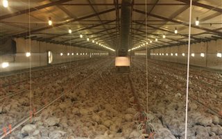 176 ha Farm in Groot Marico