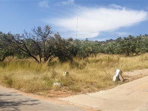 8595 m² Land available in Ruimsig