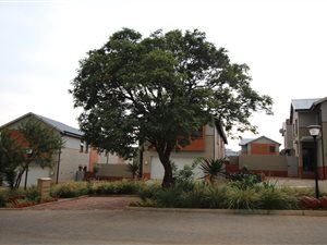 3 Bed Duplex in The Hills
