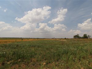 6424 m² Land available in Grimbeek Park