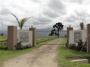 17 ha Farm in George Central