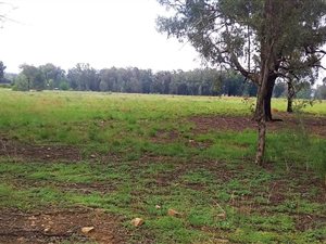 6.1 ha Land available in Valley Settlements AH